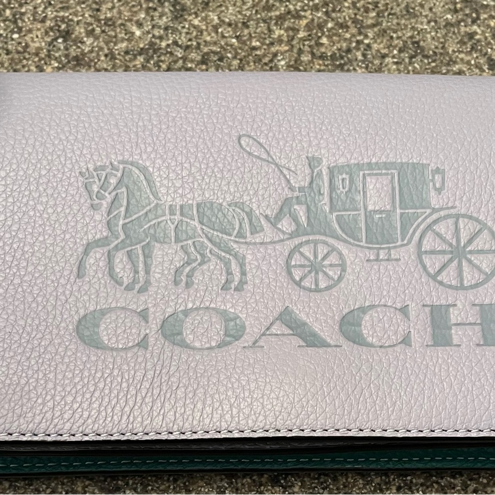 Unique Coach Light blue Leather Clutch